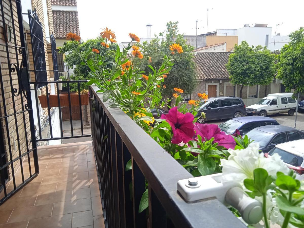 Apartamento Casa Violeta Córdoba Exterior foto